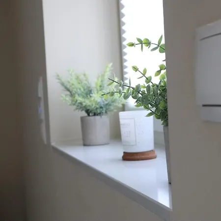 Appartamento Rheinmosel Wellness 11 *