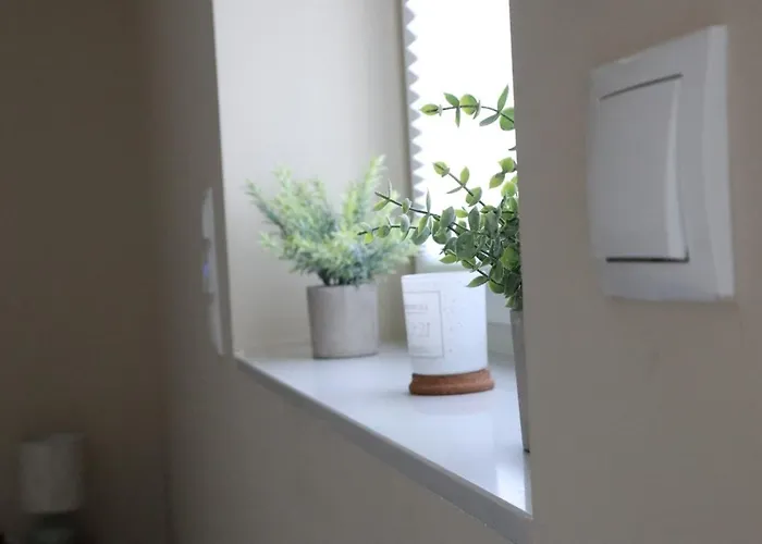 公寓 Rheinmosel Wellness 11 *